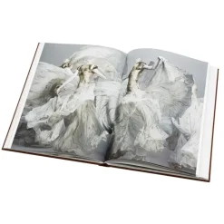 Alexander Mcqueen: Savage Beauty