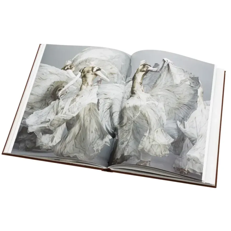 Alexander Mcqueen: Savage Beauty