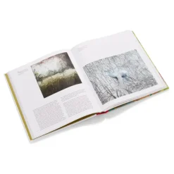 Gerhard Richter: Painting After All