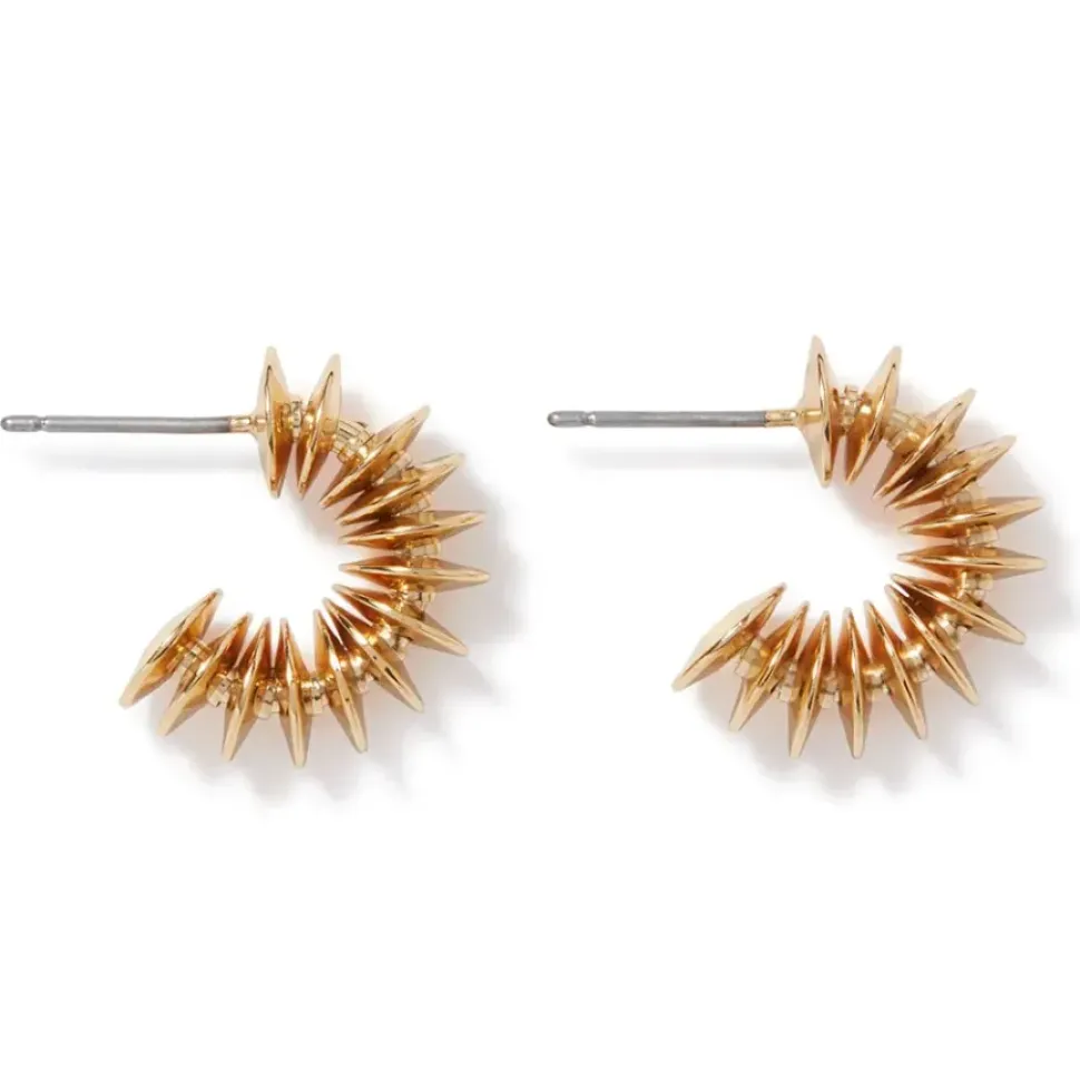 Golden Disc Necklace And Huggie Earrings Set