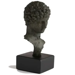 Head Of A Youth Sculpture