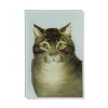 The Favorite Cat Glass Tray