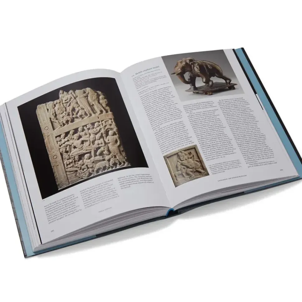 Tree & Serpent: Early Buddhist Art In India