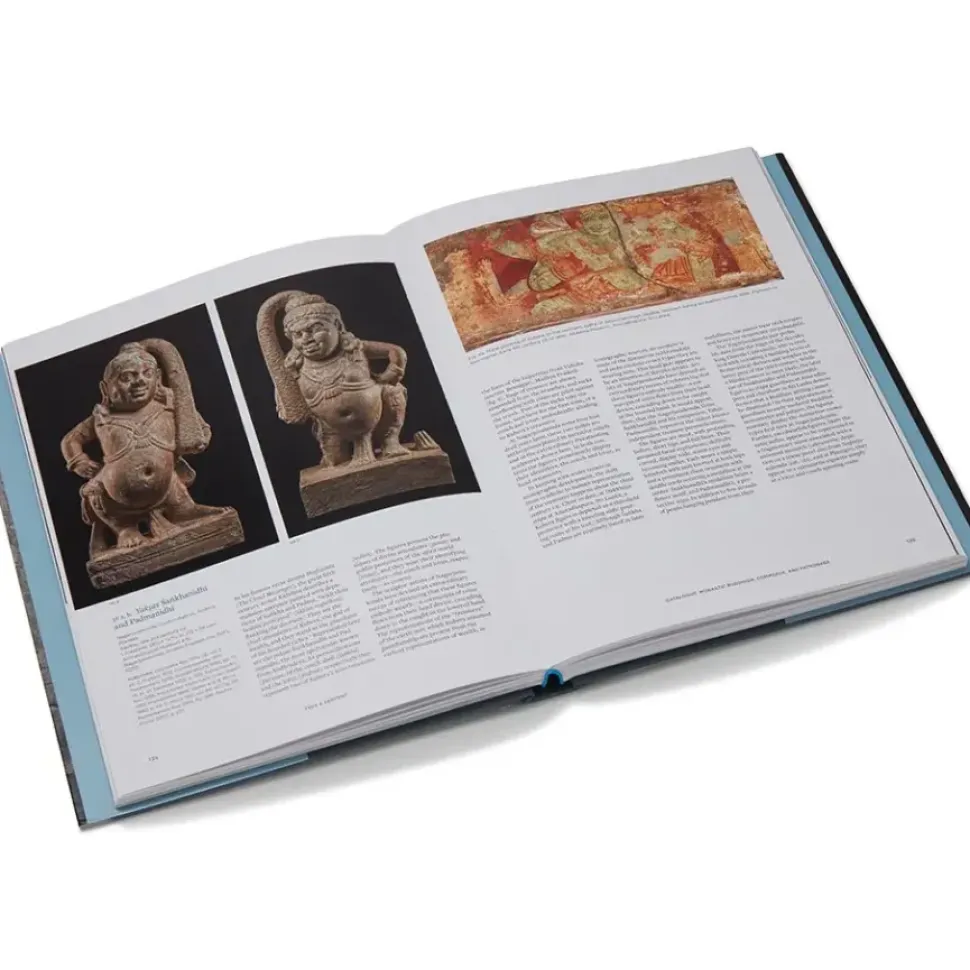 Tree & Serpent: Early Buddhist Art In India