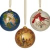 Winter Birds Hand-Painted Glass Ornament Set